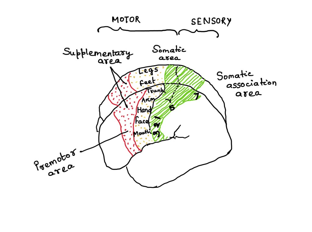 This image has an empty alt attribute; its file name is img_b2a8c9c90d9b-1.jpg